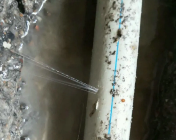 通道卫生间测漏水多少钱
